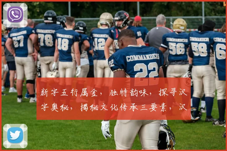 新字五行属金，独特韵味，探寻汉字奥秘，揭秘文化传承三要素，汉字五行分类大揭秘