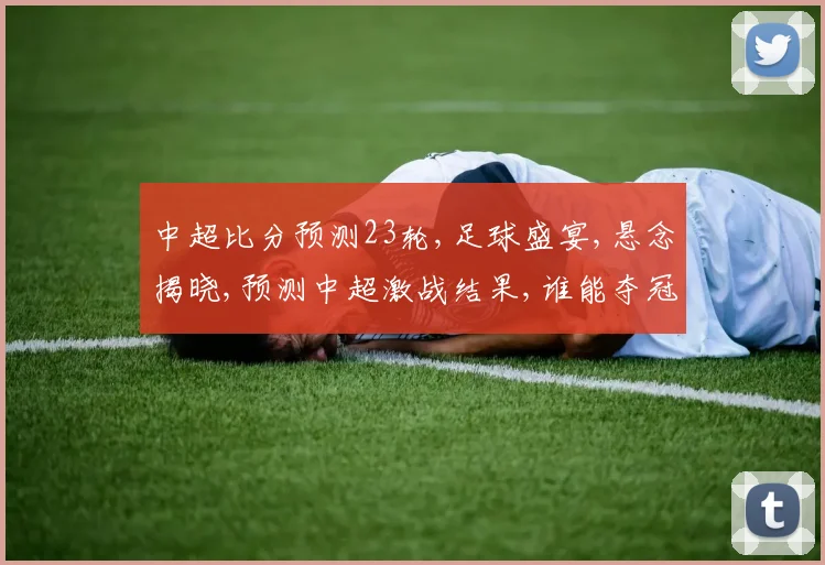 中超比分预测23轮,足球盛宴,悬念揭晓,预测中超激战结果,谁能夺冠